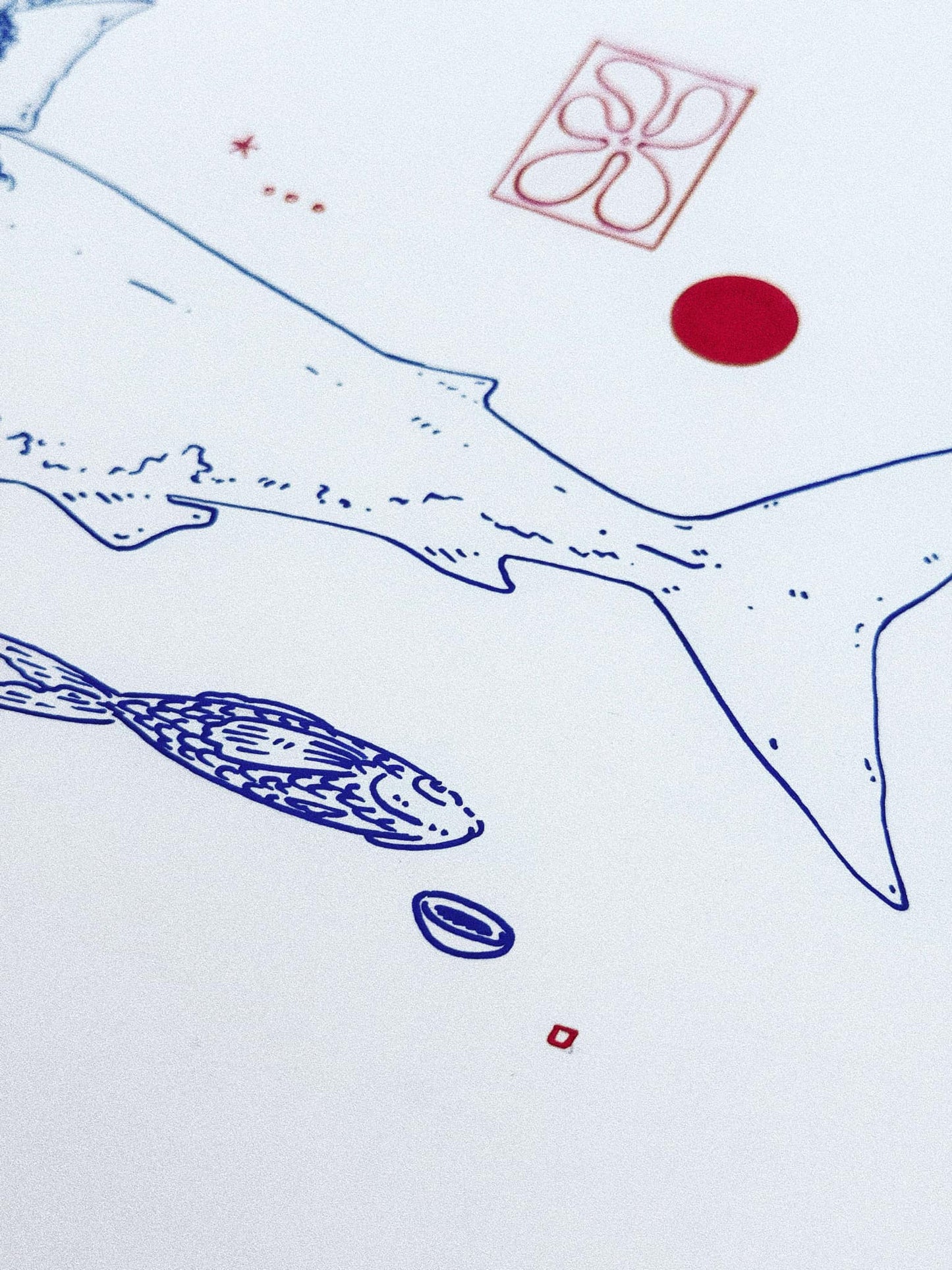 Shark Rider 5