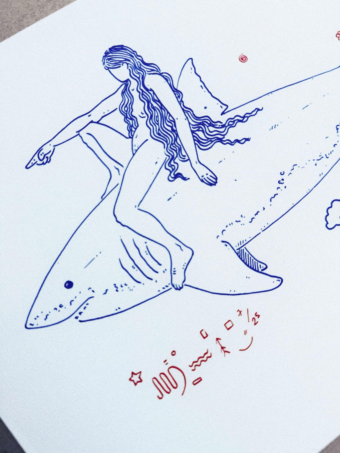Shark Rider 4