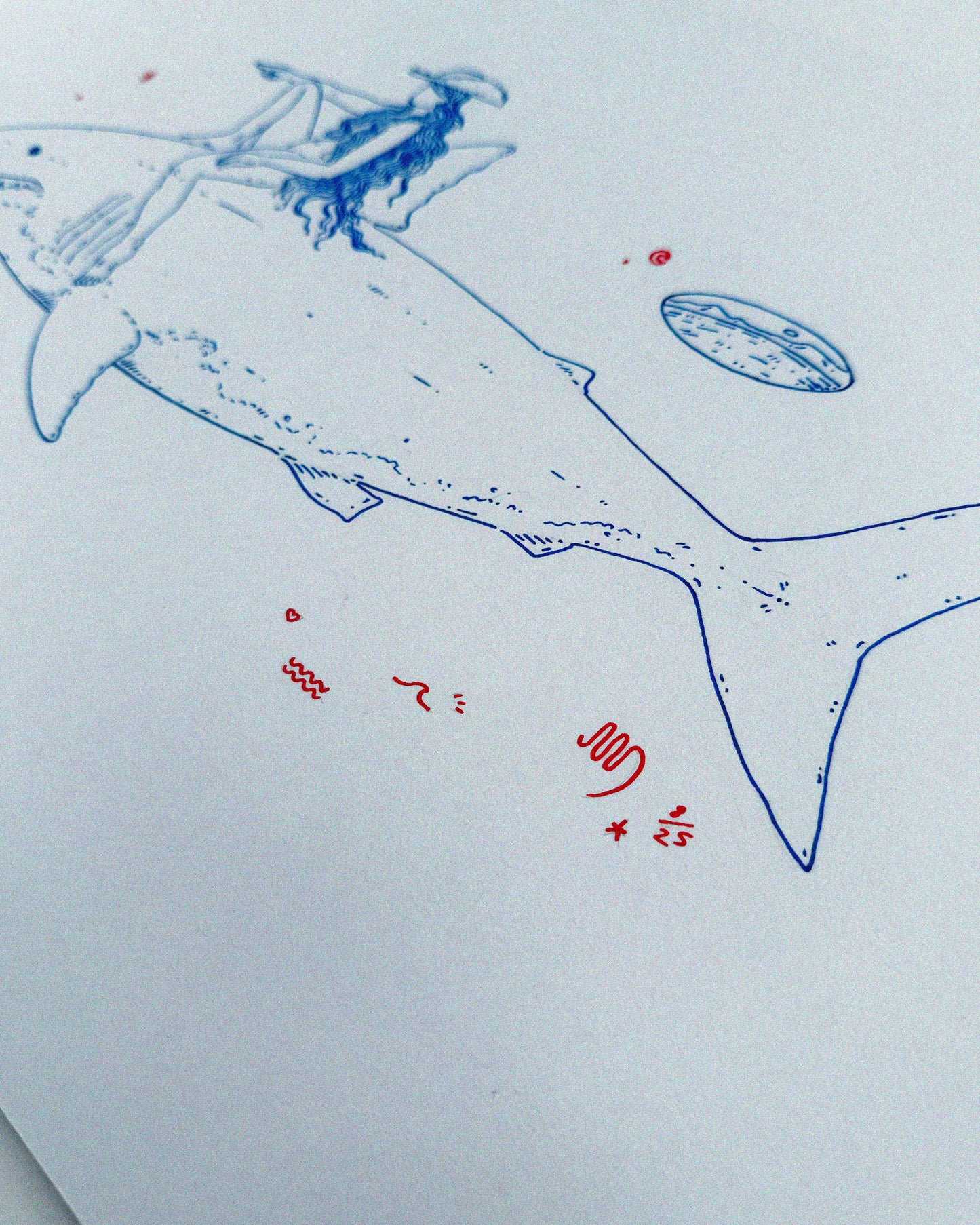 This season is for heading back to the sea