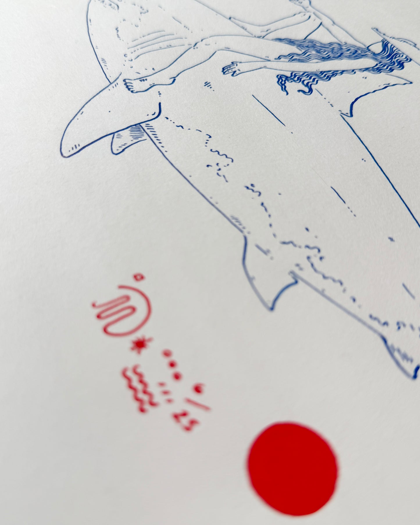 Shark Cowgirl