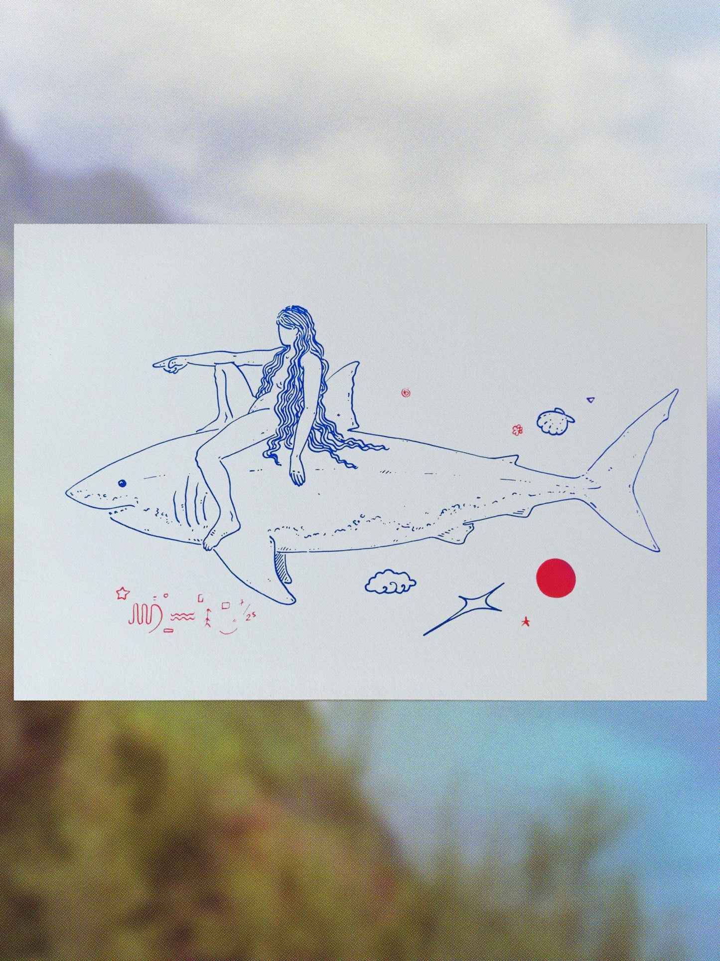 Shark Rider 4