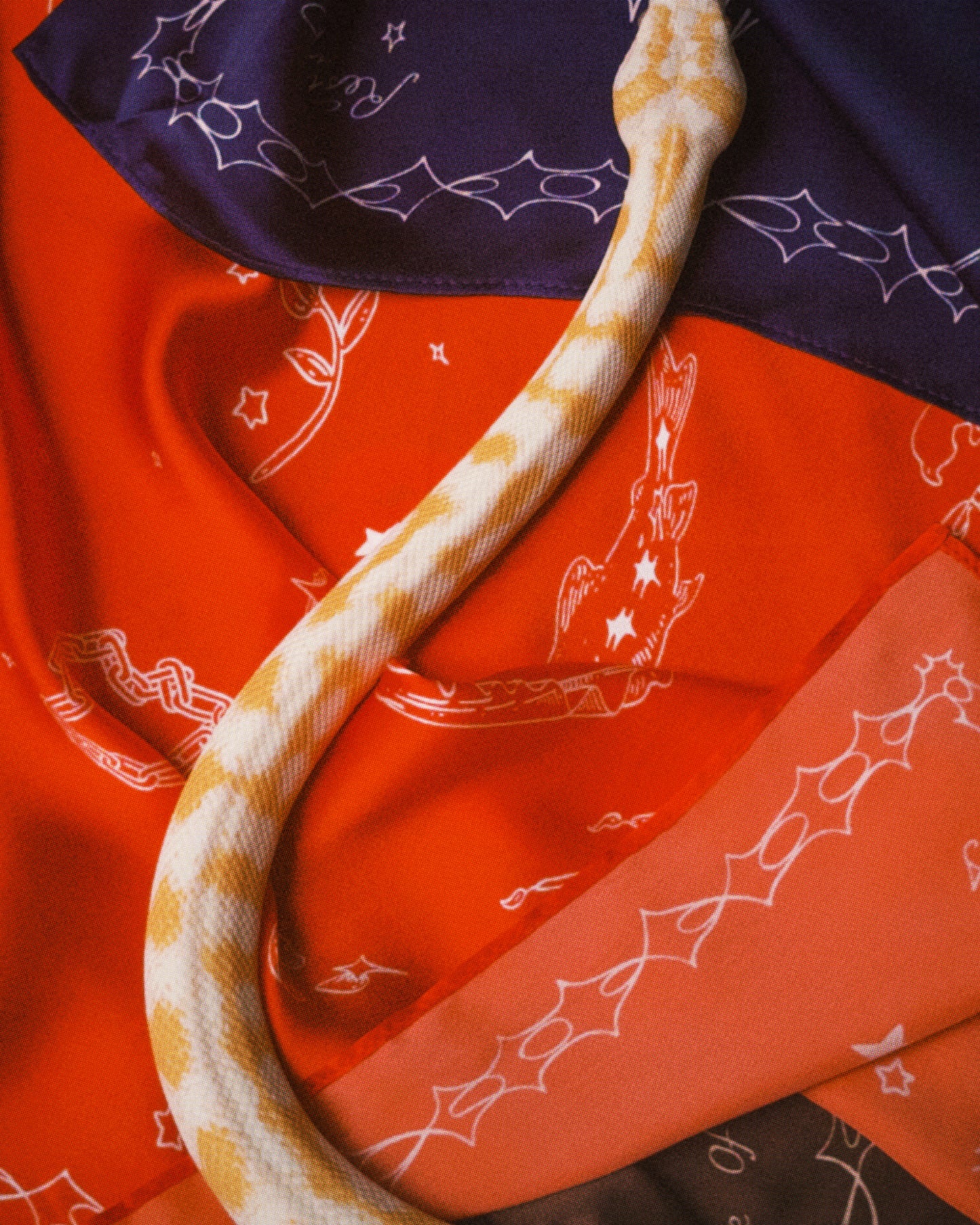 Fever Dream Bandana - Chili