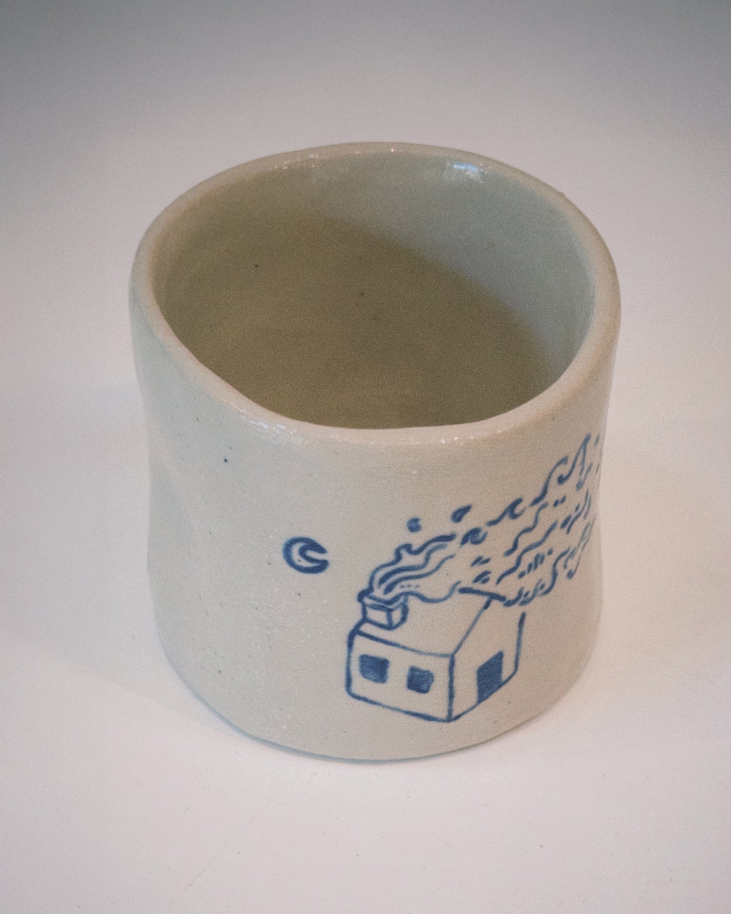 Eternal Salmon Mug