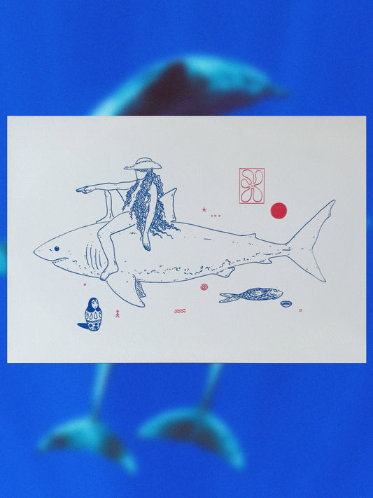 Shark Rider 5